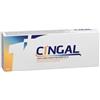 Santafarma Cingal 1 - Siringa Pre-Riempita Intrarticolare a base di Acido Ialuronico - 4 ml-