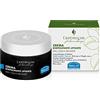 Helan L'Antirughe - Crema Viso Antirughe, Skincare Liftante con Vitamina C e E, Crema Idratante Viso Rimpolpa con Retinolo e Peptidi Antiage, Skin Care Stimola Collagene Avocado e Burro di Karitè 50ml