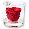 Premium-rose.com Box Tondo con Rosa Rossa stabilizzata Profumata, Box Trasparente da 9cm con Rosa Rossa Vera Eterna|Idea Regalo Natale,Fidanzata,Compleanno,Laurea |Fatto in Italia(Rossa 1040)