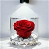 Premium-rose.com Box tondo con Rosa Stabilizzata Rossa e Marmo di Carrara, Idea Regalo per Fidanzata, moglie, mamma, Natale San Valentino, simbolo di Amore eterno, (rossa 1090)