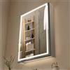 VEVOR Armadietto per Medicinali Illuminato con Specchio 50 x 70 cm da Incasso o da Parete, Mobiletto per Medicinali da Bagno con LED Dimmerabile a 3 Colori, Illuminazione Inferiore