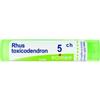 BOIRON Srl Rhus toxicod boi*5ch 80gr 4g - BOIRON - 046498046