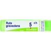 BOIRON Srl Ruta grav boi*5ch 80gr 4g - BOIRON - 046363026