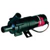 Johnson Pump Pompa di circolazione per vasca vivo, condizionamento / CM10P7-1