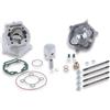 MALOSSI SRL Gruppo Termico MHR Replica ø 39,88 in alluminio con spinotto ø 12 h2o - Malossi 3112977