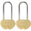VerRich 2 lucchetti a forma di cuore singolo da 8,9 cm, 50 mm, per innamorati, matrimoni, ponti, Parigi, anniversari (senza chiave)
