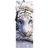 3D LiveLife Segnalibro - Riposo della Tigre Bianca di Deluxebase. Segnalibro Tigre dotato di grafica 3D lenticolare realizzata dal rinomato artista David Penfound