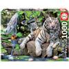 Educa - Puzzle 1000 pezzi Tigri Bianche del Bengala | Puzzle animali selvaggi | Misura 68x48 cm | Include colla Fix | Per adulti 14+ (14808)