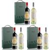 Masi | SUMMER BOX | CAMPOFIORIN 2021 Rosso Verona IGT | MASIANCO 2023 Pinot Grigio delle Venezie DOC | 2 bottiglie da 750 ml (Confezione da 3)