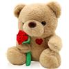 QIGEEKU Orsacchiotto con rosa da 25 cm, orso di peluche, regalo per la Festa della Mamma, dolce orso di peluche come regalo per mamma, fidanzata, bambini per San Valentino, compleanno, Festa della Mamma
