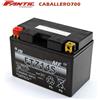 Yuasa BATTERIA FURUKAWA FTZ14S (SIGILLATA ATTIVATA FACTORY SEALED) 12V 11,8 AH CAB700