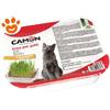 Camon Cat Erba Gatta con Semi di Grano - Confezione Da 300 Gr : Data scadenza: 07/08/2025
