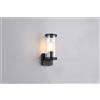 Trio Lighting BONITO APPLIQUE DA ESTERNO IN FUSIONE DI ALLUMINIO COLORE NERO E DIFFISORE TRASPARENTE IP44 H.23CM 1 LUCE ATTACCO E27