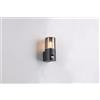 Trio Lighting HOOSIC APPLIQUE DA ESTERNO ANTRACITE CON DIFFUSORE FUME' E SENSORE DI MOVIMENTO IP44 H. 17,5CM 1 LUCE ATTACCO E27