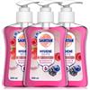 Sagrotan Sapone per le mani alle more e ai frutti di bosco - Sapone li