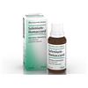 BIOLOGISCHE HEILM. HEEL GMBH Selenium homaccord*os gtt 30ml - BIOLOGISCHE HEILM. HEEL - 046869018