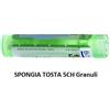 Boiron SPONGIA TOST 5CH GR