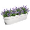 Elho Vibia Campana Trough 70 - Fioriera per Balcone - Ø 69.0 x H 17.0 cm - Bianco/Silky White