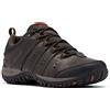 Columbia Woodburn 2 WP, Scarpe da trekking ed escursionismo impermeabili a vita bassa Uomo, Cordovan/Cinnamon 2024 , 43 EU