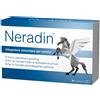 PHARMASGP GmbH NERADIN 56 Cps