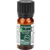 CTn764Laboratories CTLabs Olio Essenziale Cirmolo (Pino Cembro) 100% Naturale e Puro - Distillato artigianalmente in Trentino Alto Adige - Per Aromaterapia, Diffusore, Massaggi, Pediluvi, Bagni, Bucato e Ambienti 11 ml