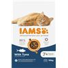 IAMS Advanced Nutrition Senior 7+ con Tonno Crocchette per gatto - 10 kg