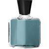 Capucci Lungomare Pour Homme Eau De Toilette 100 ML