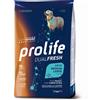 PROLIFE 12 kg Prolife Dual Fresh Alimento Cibo Crocchette Croccantini per Cani Adulti di Taglia Media e Large con Salmone e Merluzzo Freschi & Riso No Gluten