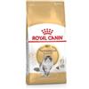 Royal Canin Norwegian Forest Cat Adult | 400 g | Alimento completo per gatti | Per gatti norvegesi adulti | A partire dai 12 mesi | Pelle sana e pelo bello