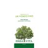 ERBA VITA GROUP SpA ARGILLA Verde S-Vent.300g EBV