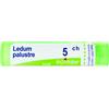 BOIRON Srl Boiron Ledum Palustre 5CH Granuli Tubo
