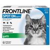 Frontline Spot On Gatti x3 Pipette, Antiparassitario per Gatti, Contro Zecche, Pulci e Pidocchi 3 pz Pipette monodose