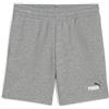PUMA Ess 2 Color No. 1 Logo Shorts TR B, Pantaloncini Lavorati a Maglia Bambino, Medium Gray Heather,