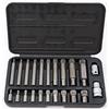 RICHMANN Set di punte SPLINE (30, 75 mm) - Set di punte XZN 22 pezzi (M4 M5 M6 M8 M9 M10 M12 M14 M16 M18)+ 2 accoppiatori 1/2 & 3/8 di pollice - Set di punte a 12 punti (HRC 62) Acciaio Premium S2, Cr-V