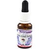 NATUR Srl DOWN TO EARTH ESS 15ML NAT.SPI