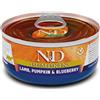 Farmina N&D Pumpkin Agnello zucca Mirtillo Lattina 70g Gatti Adulti