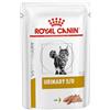 Royal Canin Urinary S/O Patè 85g Bustine Gatti