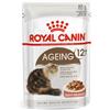 Royal Canin Ageing 12+ in salsa 85g Bustine Gatti