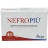 Aurora Biofarma Nefropiù 30 cpr da 1g per Cani e Gatti
