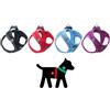 Colley Pettorina in Rete Nera Mis. 3XS Cani
