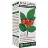 Dr. Giorgini Ser-vis Rosa Canina Estratto Integrale 200 Ml
