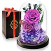 Touloube Regalo Donna di Festa della Mamma I Rosa Eterna Stabilizzata di Lusso con Luce LED I Ideale per Anniversario, Compleanno, San Valentino Per Moglie, Fidanzata, Mamma, Nonna, Madre I Fiore Preservato