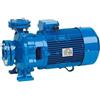 Speroni CSM 50 Monofase - Pompa Centrifuga Monogirante - CSM 50-160 C - 4 kW - 5,5 HP