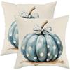 Generic Set di 2 federe decorative per cuscini, motivo zucca autunnale, colore azzurro a pois, per casa, divano, letto, divano, decorazione per casa e fattoria, 40,6 x 40,6 cm