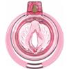 MKGMYGZ chastity cage uomo silicone sissy gabbia pene bdsm cintura castità maschile per giochi erotitici sexy per coppie (21-1PT)