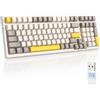 MAGIC-REFINER RK96 Tastiera Gaming Meccanica, 90% Tastiera Wireless 2.4Ghz/Bluetooth 5.0, Apex Pro TKL Hot Swap 100 Tasti Interruttore Rosso Lineare con Ricevitore 2 in 1 per PC/MAC/Smartphone