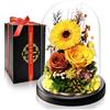 Touloube Rosa Eterna & Gerbera Stabilizzate Regalo Donna di Festa della Mamma | Regalo di Lusso con Luce LED per Natale e Anniversari | Ideale per Moglie, Fidanzata, Mamma | Fiori Preservati che Durano Anni