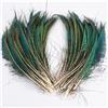 GreatRise Piume di pavone, 25-30 cm, piume di pavone, piume di coda di pavone, belle piume di coda, decorazione per la casa, per fai da te, per il fai da te, per costume da sposa, colore verde, 30-40