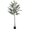 HOMCOM Pianta Artificiale di Olivo Alta 180 cm, Albero Finto da Interno con 900 Foglie e 40 Olive, Vaso Incluso, Alberello Decorativo per Salotto, Ufficio e Ingresso