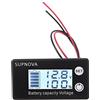 Wjsdsg Batteria al litio acido LiFePO4 per 7 V-68 V auto moto voltmetro calibro 12 V 24 V 48 V